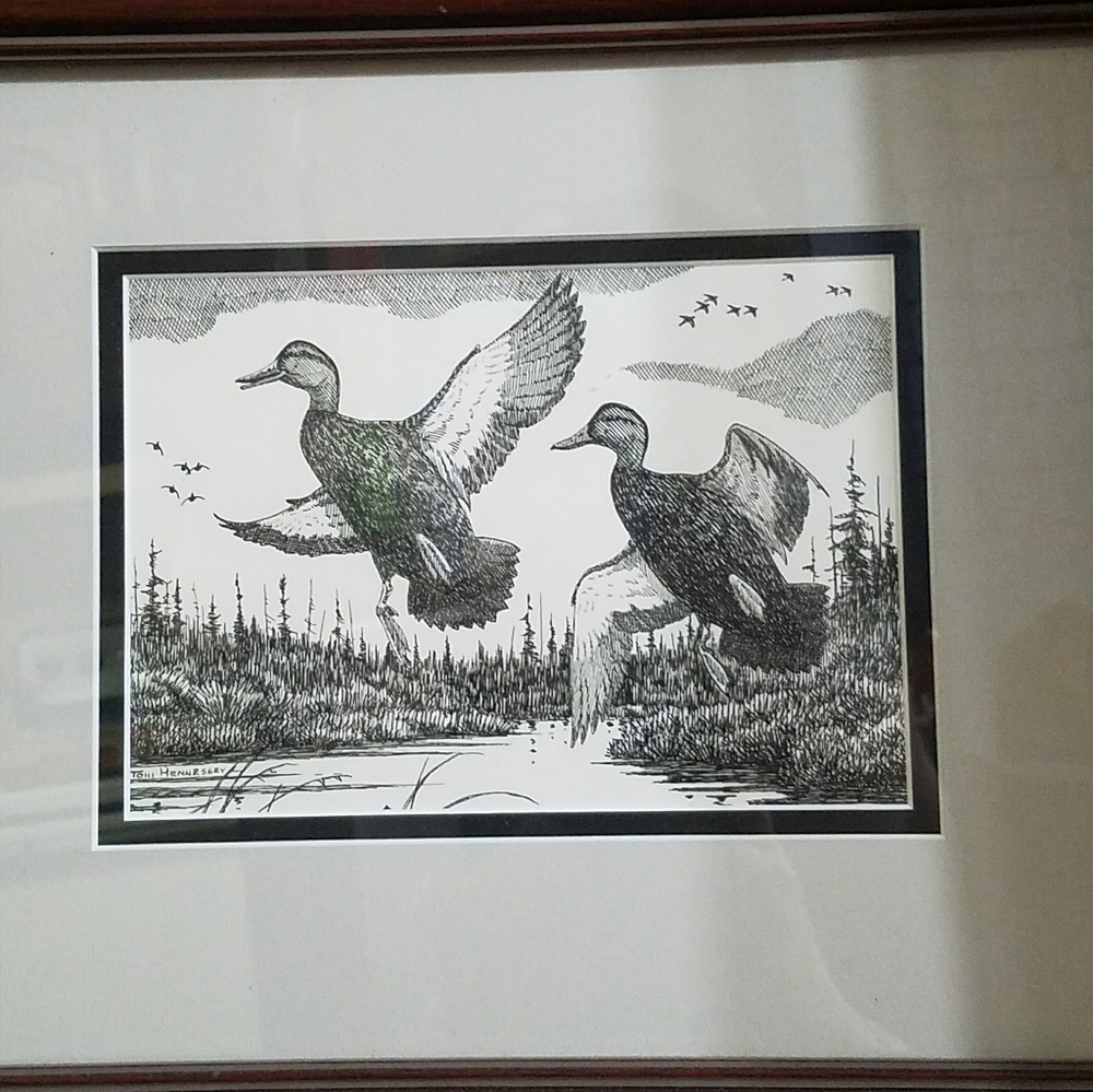 pen and ink duck drawing
